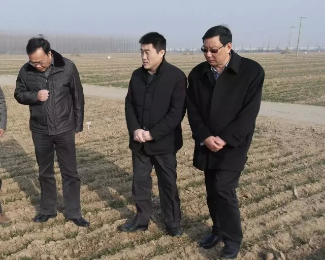 1456450887544673Lcfx.jpg 640.webp (1).jpg